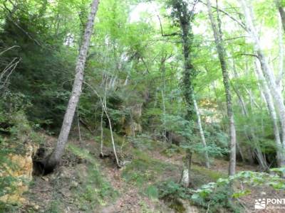 Parque Natural de Izki; senderismo comunidad madrid señalizacion senderos excursiones de verano acti